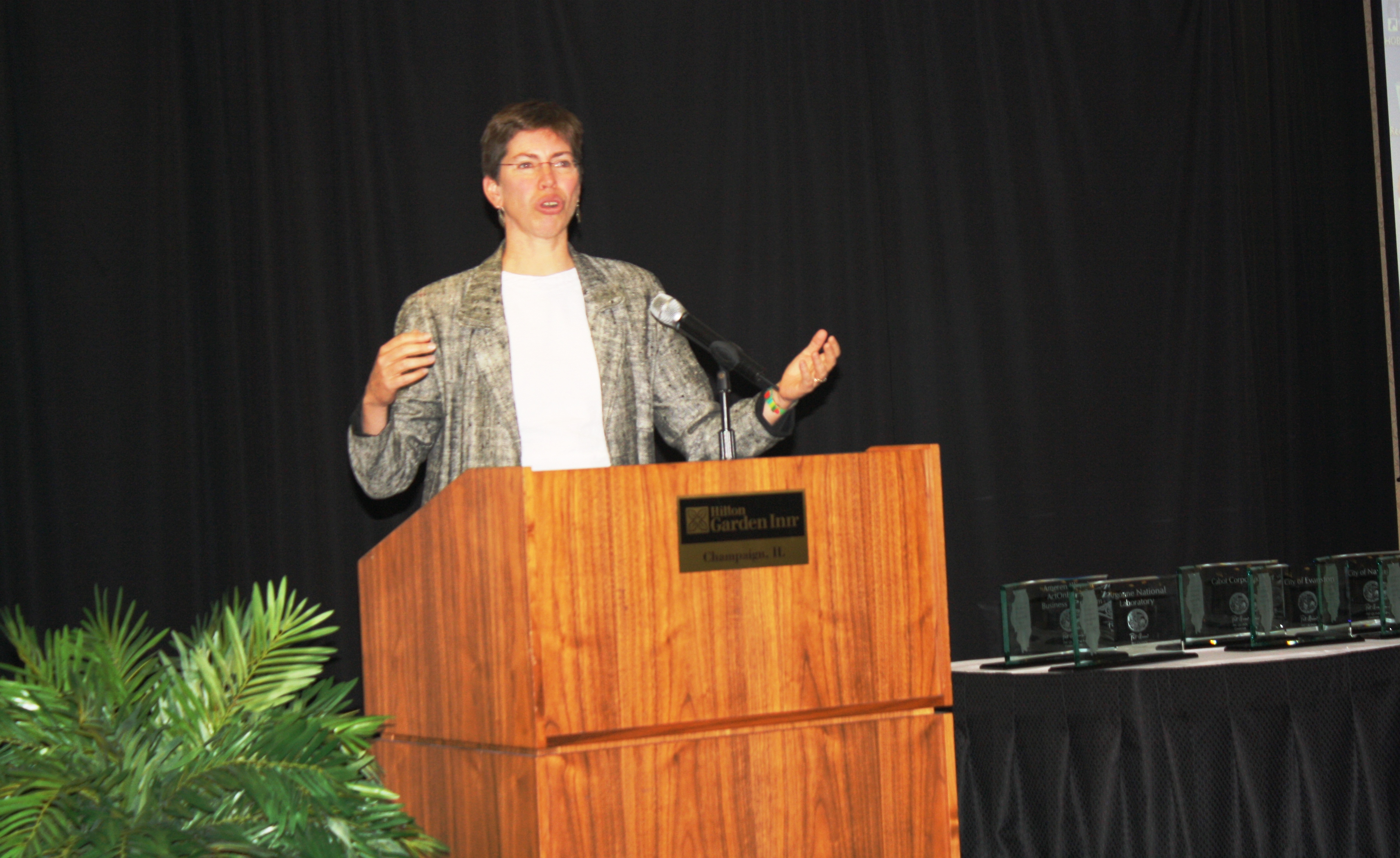 Former Lt. Governor makes a point during her presentation at the annual event Former Lt. Governor makes a point during her presentation at the annual event