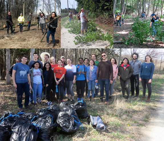 Student, staff, and community volunteers have prepared the South Arboretum Woods for plantings of native species this spring. Student, staff, and community volunteers have prepared the South Arboretum Woods for plantings of native species this spring.