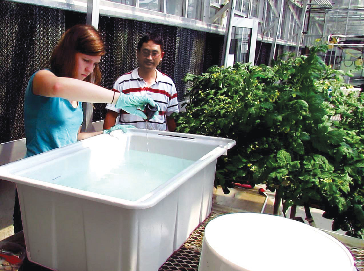 the hydroponic system is spiked with PPCPs so as to study PPCP uptake into vegetables the hydroponic system is spiked with PPCPs so as to study PPCP uptake into vegetables
