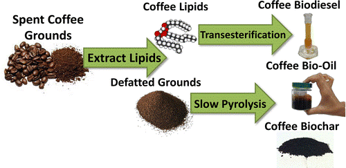 lipids are extracted from spend coffee grounds then transesterification converts lipids to biodiesel. Defatted grounds undergo slow pyrolysis to create bio-oil and biochar. lipids are extracted from spend coffee grounds then transesterification converts lipids to biodiesel. Defatted grounds undergo slow pyrolysis to create bio-oil and biochar.