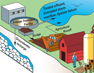 drawing of a sewage treatment facility with three outlets for PPCPs: groundwater recharge, effluent to lake, and sludge put ag lands, ag run off into lakes
