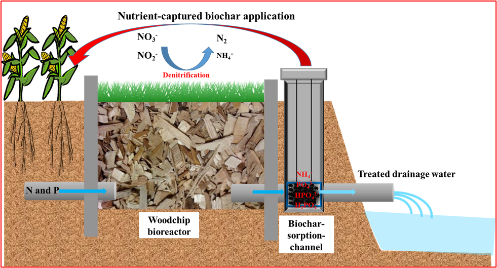 woodchip bioreactor system