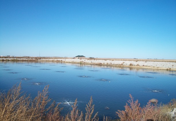 large man-made earth holding pond for sewage treatment. Cross shaped ripple bubbles are matrixed across the pond from the aeration system.