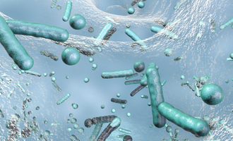 3D rendering of legionella bacteria